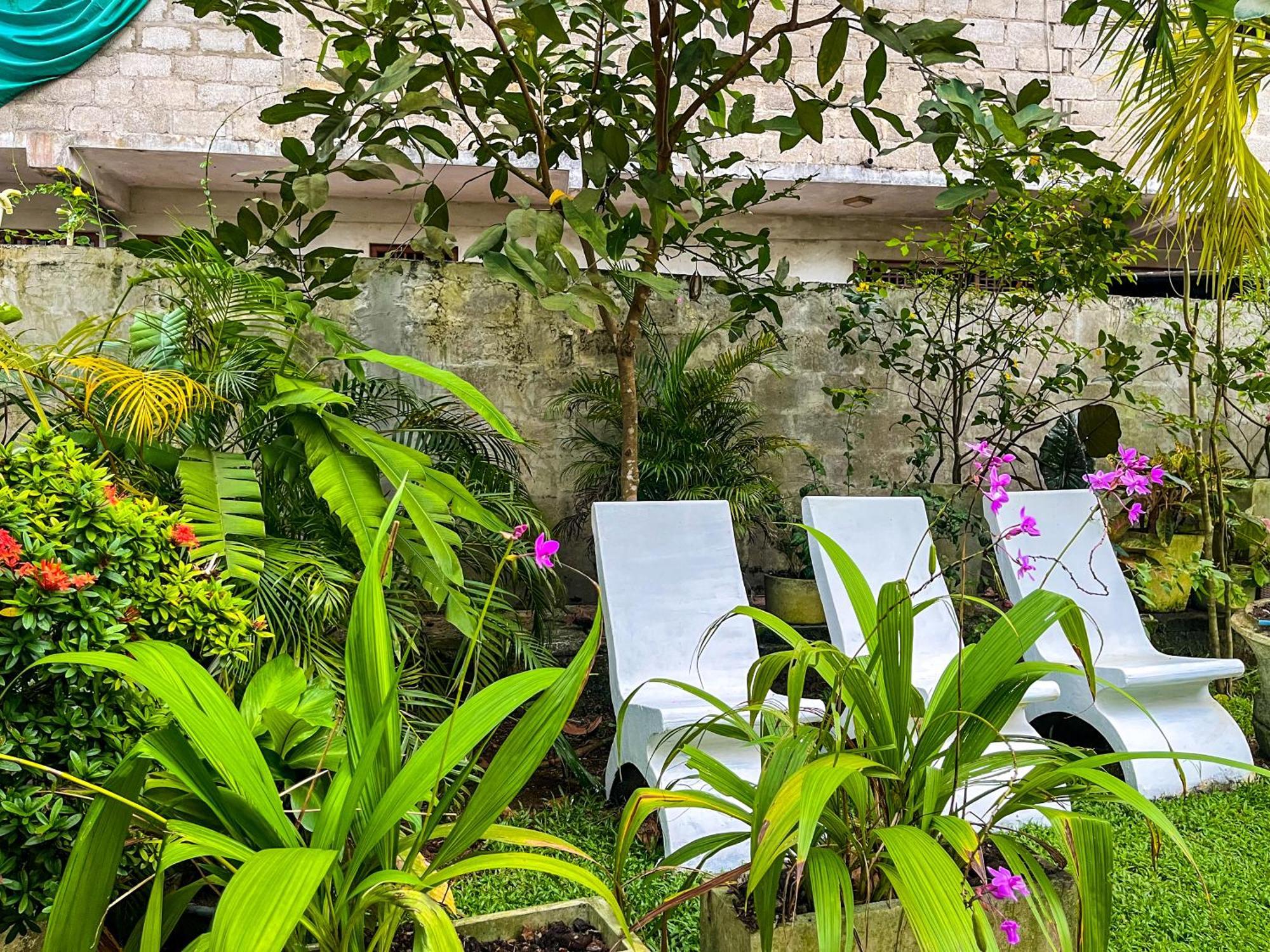 Galle Camellia מראה חיצוני תמונה